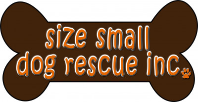 Size Small Dog Rescue - Pet Shelter and Rescue in Saskatoon, Saskatchewan
