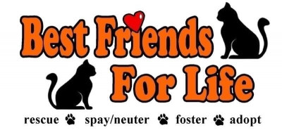 Best Friends For Life - Pet Shelter and Rescue in Laredo, Texas