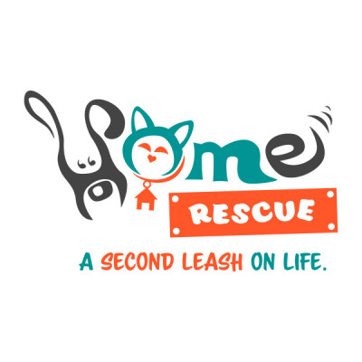 House Of Meows - HOME Rescue - Pet Shelter and Rescue in Arlington, Texas