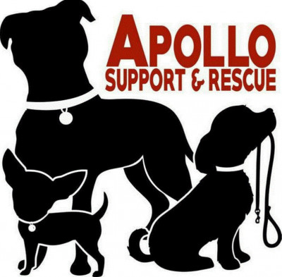 Apollo Support & Rescue - Pet Shelter and Rescue in Justin, Texas