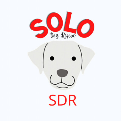SDR Rescue - Pet Shelter and Rescue in Dallas, Texas
