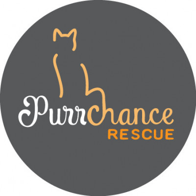 Purrchance Rescue - Pet Shelter and Rescue in Imperial Beach, California