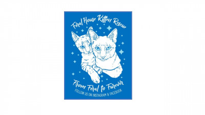 Feral House Kitten Rescue - Pet Shelter and Rescue in Houston, Texas