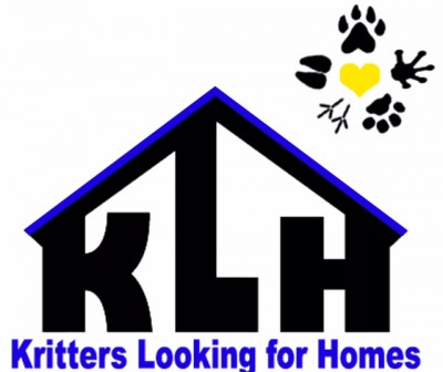 Kritters Looking For Homes - Pet Shelter and Rescue in Richardson, Texas