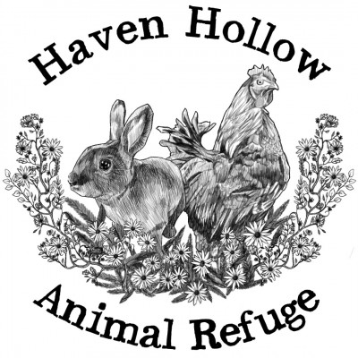 Haven Hollow Animal Refuge - Pet Shelter and Rescue in Shelley, Idaho