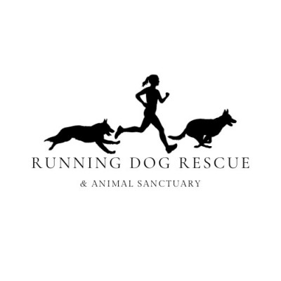 Running Dog Rescue - Pet Shelter and Rescue in Fort Collins, Colorado
