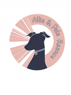 Allie And Pals Rescue - Pet Shelter and Rescue in Cheektowaga, New York