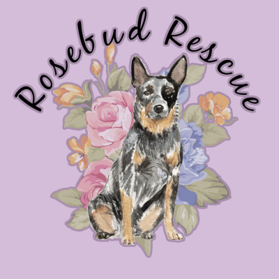 Rosebud Rescue - Pet Shelter and Rescue in West Falls, New York