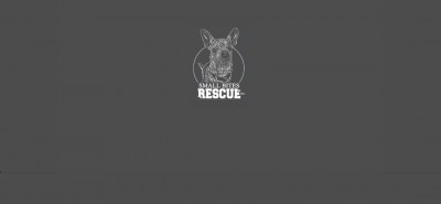 Small Bites Rescue Inc - Pet Shelter and Rescue