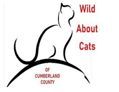 Wild About Cats Of Cumberland County - Pet Shelter and Rescue in Crossville, Tennessee