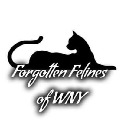 Forgotten Felines Of WNY, INC. - Pet Shelter and Rescue