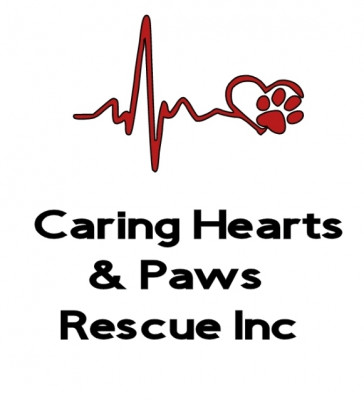 Caring Hearts And Paws Rescue Inc - Pet Shelter and Rescue in Tonawanda, New York
