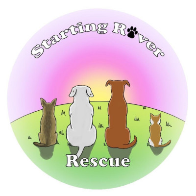 Starting Rover Rescue - Pet Shelter and Rescue in Phoenix, Arizona