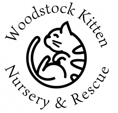 Woodstock Kitten Nursery & Rescue - Pet Shelter and Rescue in Woodstock, Ontario