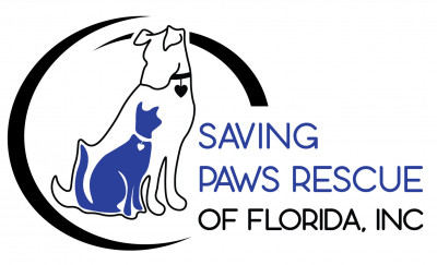 Saving Paws Rescue Of Florida, Inc - Pet Shelter and Rescue in Lakeland, Florida