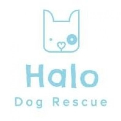 HALO Dog Rescue - Pet Shelter and Rescue in Reno, Nevada