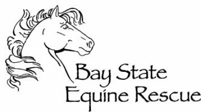 Bay State Equine Rescue, Inc. - Pet Shelter and Rescue in Oakham, Massachusetts
