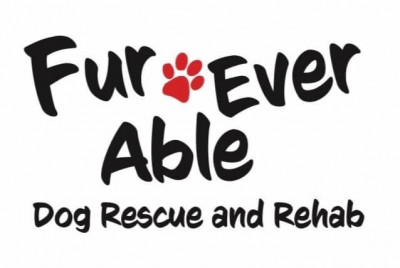 Fur Ever Able Rescue And Rehabilitation - Pet Shelter and Rescue in Milton, Ontario