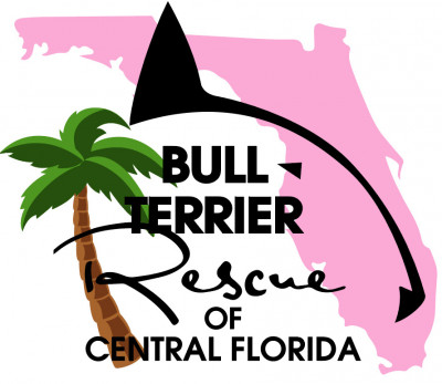Bull Terrier Rescue Of Central FL - Pet Shelter and Rescue in Orange City, Florida