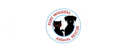 Ruby Whiskers Animal Rescue - Pet Shelter and Rescue in Lemont, Illinois