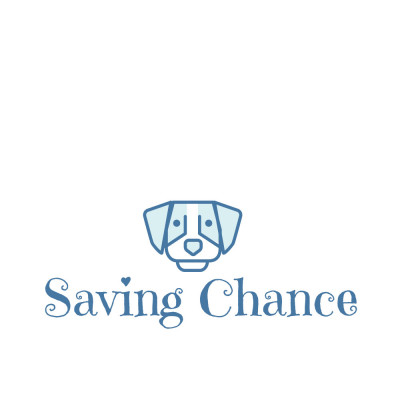 Saving Chance The Pittie And Friends - Pet Shelter and Rescue in Virginia Beach, Virginia