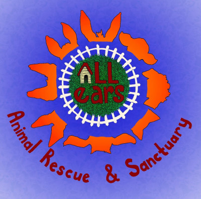 All Ears Animal Rescue And Sanctuary - Pet Shelter and Rescue in Bridgton, Maine