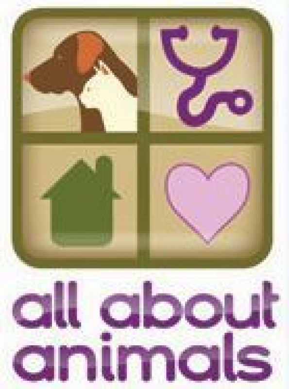 All About Animals Warren Mi