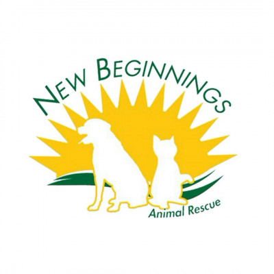 New Beginnings Animal Rescue - Pet Shelter and Rescue in Southaven, Mississippi