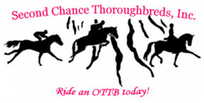 Second Chance Thoroughbreds, Inc. - Pet Shelter and Rescue in Spencer, New York