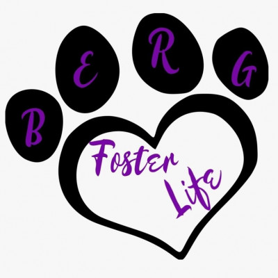 Berg Foster Life - Pet Shelter and Rescue in Park Row, Texas