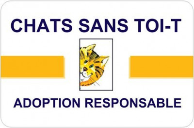Chats Sans Toi-t - Pet Shelter and Rescue in Chertsey, Quebec