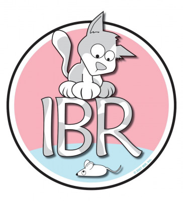 Itsie Bitsie Rescue - Pet Shelter and Rescue in Orangevale, California