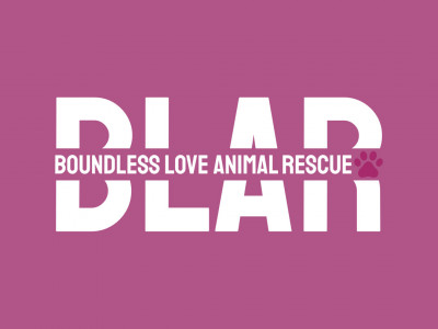 Boundless Love Animal Rescue - Pet Shelter and Rescue in Glen Burnie, Maryland