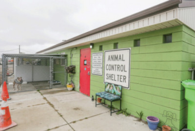 City Of Madison Heights - Pet Shelter and Rescue in Madison Heights, Michigan