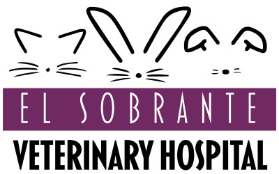 El Sobrante Veterinary Hospital - Pet Shelter and Rescue in El Sobrante, California
