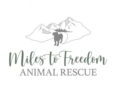 Miles To Freedom Animal Rescue - Pet Shelter and Rescue in Otisfield, Maine