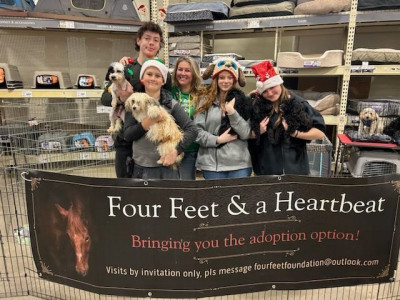 Four Feet & A Heart Beat - Pet Shelter and Rescue in Lacombe, Alberta