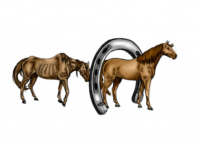 Changing Fates Equine Rescue Of Delaware Inc. - Pet Shelter and Rescue in Laurel, Delaware