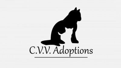Clinique Vétérinaire Vaudreuil Adoptions - Pet Shelter and Rescue in Vaudreuil-Dorion, Québec