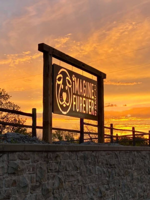 Imagine Furever Ranch - Pet Shelter and Rescue in Shawnee, Kansas