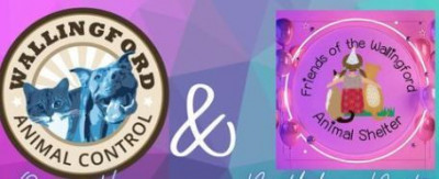 Wallingford Animal Control - Pet Shelter and Rescue in Wallingford, Connecticut