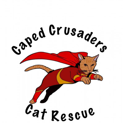 Caped Crusaders Cat Rescue - Pet Shelter and Rescue in Union, Missouri