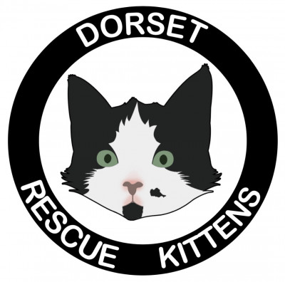 Dorset Rescue Kittens - Pet Shelter and Rescue in Puslinch, Ontario