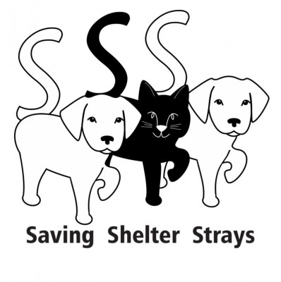 Saving Shelter Strays, Inc. - Pet Shelter and Rescue in Bandera, Texas