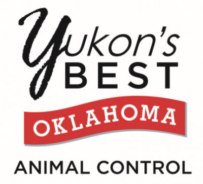 Yukon Animal Control - Pet Shelter and Rescue in Yukon, Oklahoma