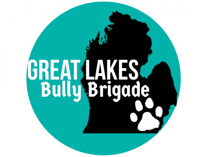 Great Lakes Bully Brigade - Pet Shelter and Rescue in Allen Park, Michigan