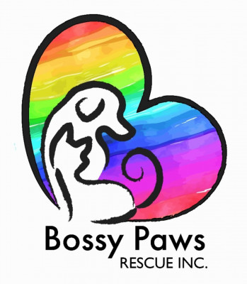 Bossy Paws Rescue Inc - Pet Shelter and Rescue in Buford, Georgia