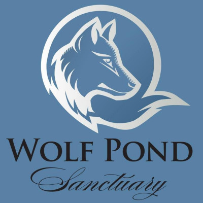 Wolf Pond Sanctuary - Pet Shelter and Rescue in Magee, Mississippi
