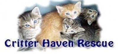 Romeow Rescue By Critter Haven Rescue Center - Pet Shelter and Rescue in Dickinson, Texas