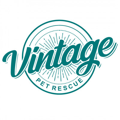 Vintage Pet Rescue - Pet Shelter and Rescue in Foster, Rhode Island